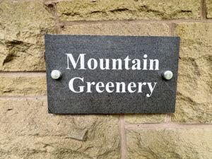 Mountain Greenery- click for photo gallery